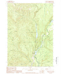 Tamolitch Falls Oregon Historical topographic map, 1:24000 scale, 7.5 X 7.5 Minute, Year 1989