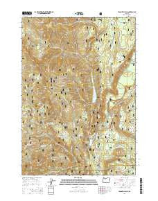 Tamolitch Falls Oregon Current topographic map, 1:24000 scale, 7.5 X 7.5 Minute, Year 2014