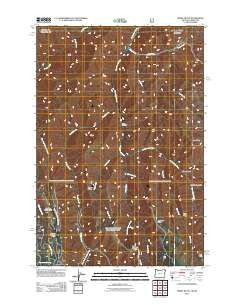 Teepee Butte Oregon Historical topographic map, 1:24000 scale, 7.5 X 7.5 Minute, Year 2011
