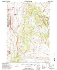 Teller Butte Oregon Historical topographic map, 1:24000 scale, 7.5 X 7.5 Minute, Year 1992