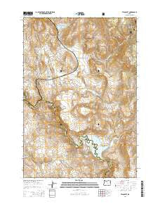 Telocaset Oregon Current topographic map, 1:24000 scale, 7.5 X 7.5 Minute, Year 2014