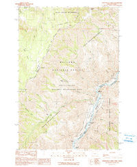Temperance Creek Oregon Historical topographic map, 1:24000 scale, 7.5 X 7.5 Minute, Year 1990