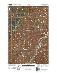 Temperance Creek Oregon Historical topographic map, 1:24000 scale, 7.5 X 7.5 Minute, Year 2011