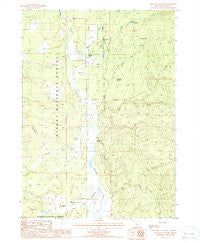 The Bull Pasture Oregon Historical topographic map, 1:24000 scale, 7.5 X 7.5 Minute, Year 1988