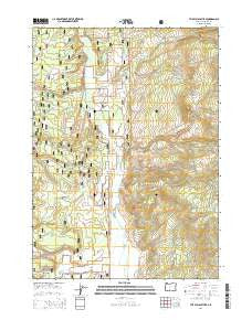 The Bull Pasture Oregon Current topographic map, 1:24000 scale, 7.5 X 7.5 Minute, Year 2014