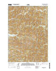 The Peninsula Oregon Current topographic map, 1:24000 scale, 7.5 X 7.5 Minute, Year 2014