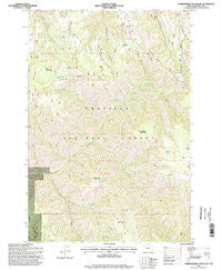 Thimbleberry Mountain Oregon Historical topographic map, 1:24000 scale, 7.5 X 7.5 Minute, Year 1995