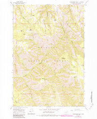 Thimbleberry Mtn Oregon Historical topographic map, 1:24000 scale, 7.5 X 7.5 Minute, Year 1964