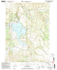 Thompson Reservoir Oregon Historical topographic map, 1:24000 scale, 7.5 X 7.5 Minute, Year 2004
