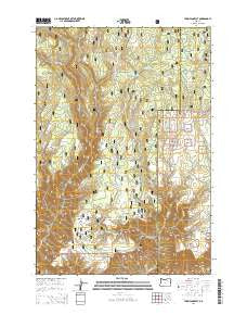 Thompson Flat Oregon Current topographic map, 1:24000 scale, 7.5 X 7.5 Minute, Year 2014