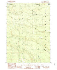 Thousand Springs Oregon Historical topographic map, 1:24000 scale, 7.5 X 7.5 Minute, Year 1985