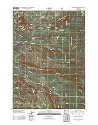 Thousand Springs Oregon Historical topographic map, 1:24000 scale, 7.5 X 7.5 Minute, Year 2011