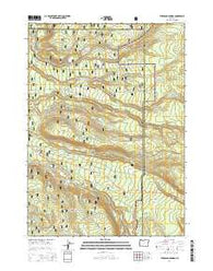 Thousand Springs Oregon Current topographic map, 1:24000 scale, 7.5 X 7.5 Minute, Year 2014