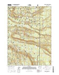 Thousand Springs Oregon Current topographic map, 1:24000 scale, 7.5 X 7.5 Minute, Year 2014