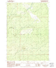 Three Creek Butte Oregon Historical topographic map, 1:24000 scale, 7.5 X 7.5 Minute, Year 1988