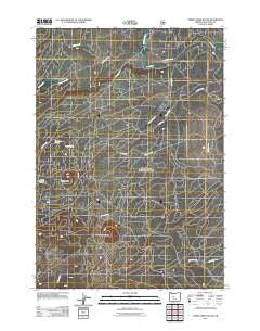 Three Creek Butte Oregon Historical topographic map, 1:24000 scale, 7.5 X 7.5 Minute, Year 2011