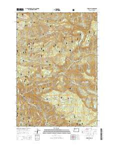 Three Lynx Oregon Current topographic map, 1:24000 scale, 7.5 X 7.5 Minute, Year 2014