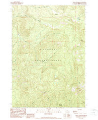Tidbits Mountain Oregon Historical topographic map, 1:24000 scale, 7.5 X 7.5 Minute, Year 1989
