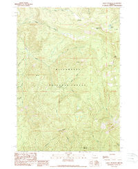 Tidbits Mountain Oregon Historical topographic map, 1:24000 scale, 7.5 X 7.5 Minute, Year 1989