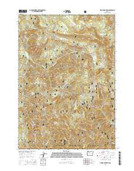 Tidbits Mountain Oregon Current topographic map, 1:24000 scale, 7.5 X 7.5 Minute, Year 2014