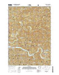 Tidewater Oregon Current topographic map, 1:24000 scale, 7.5 X 7.5 Minute, Year 2014