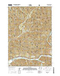 Tiernan Oregon Current topographic map, 1:24000 scale, 7.5 X 7.5 Minute, Year 2014