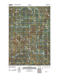 Timber Oregon Historical topographic map, 1:24000 scale, 7.5 X 7.5 Minute, Year 2011