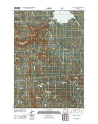 Timothy Lake Oregon Historical topographic map, 1:24000 scale, 7.5 X 7.5 Minute, Year 2011