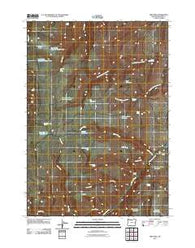Tims Peak Oregon Historical topographic map, 1:24000 scale, 7.5 X 7.5 Minute, Year 2011