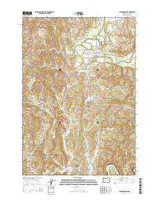 Toledo North Oregon Current topographic map, 1:24000 scale, 7.5 X 7.5 Minute, Year 2014
