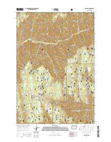 Tollgate Oregon Current topographic map, 1:24000 scale, 7.5 X 7.5 Minute, Year 2014