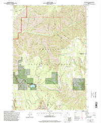 Tollgate Oregon Historical topographic map, 1:24000 scale, 7.5 X 7.5 Minute, Year 1995