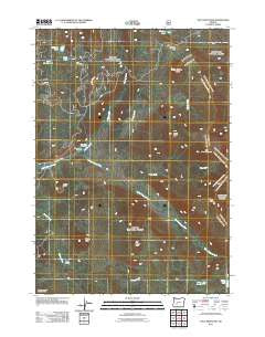 Tolo Mountain Oregon Historical topographic map, 1:24000 scale, 7.5 X 7.5 Minute, Year 2011