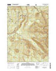 Tolo Mountain Oregon Current topographic map, 1:24000 scale, 7.5 X 7.5 Minute, Year 2014