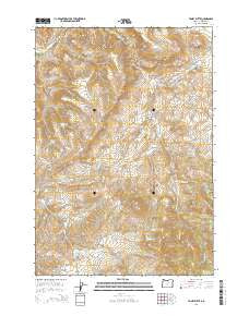 Toney Butte Oregon Current topographic map, 1:24000 scale, 7.5 X 7.5 Minute, Year 2014