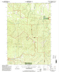 Tower Mountain Oregon Historical topographic map, 1:24000 scale, 7.5 X 7.5 Minute, Year 1995