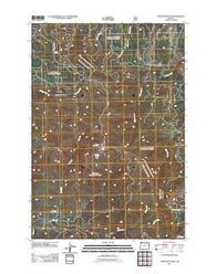 Tower Mountain Oregon Historical topographic map, 1:24000 scale, 7.5 X 7.5 Minute, Year 2011