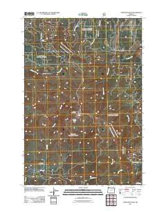 Tower Mountain Oregon Historical topographic map, 1:24000 scale, 7.5 X 7.5 Minute, Year 2011