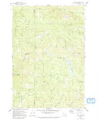 Trask Mtn Oregon Historical topographic map, 1:24000 scale, 7.5 X 7.5 Minute, Year 1979