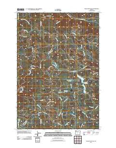 Trask Mountain Oregon Historical topographic map, 1:24000 scale, 7.5 X 7.5 Minute, Year 2011