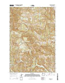 Trenholm Oregon Current topographic map, 1:24000 scale, 7.5 X 7.5 Minute, Year 2014