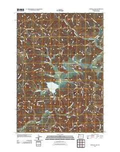 Triangle Lake Oregon Historical topographic map, 1:24000 scale, 7.5 X 7.5 Minute, Year 2011