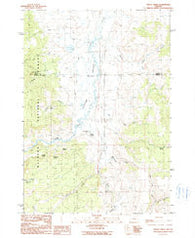 Trout Creek Oregon Historical topographic map, 1:24000 scale, 7.5 X 7.5 Minute, Year 1990
