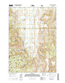 Trout Creek Oregon Current topographic map, 1:24000 scale, 7.5 X 7.5 Minute, Year 2014