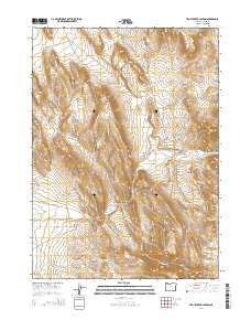 Trout Creek Canyon Oregon Current topographic map, 1:24000 scale, 7.5 X 7.5 Minute, Year 2014