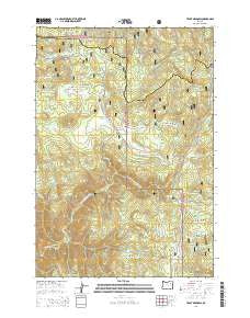 Trout Meadows Oregon Current topographic map, 1:24000 scale, 7.5 X 7.5 Minute, Year 2014