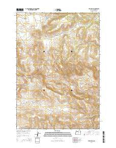 Tubb Spring Oregon Current topographic map, 1:24000 scale, 7.5 X 7.5 Minute, Year 2014