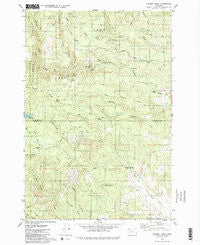 Turner Creek Oregon Historical topographic map, 1:24000 scale, 7.5 X 7.5 Minute, Year 1979