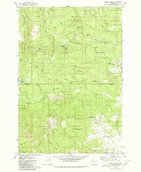 Turner Creek Oregon Historical topographic map, 1:24000 scale, 7.5 X 7.5 Minute, Year 1979
