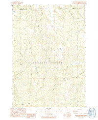 Turner Mountain Oregon Historical topographic map, 1:24000 scale, 7.5 X 7.5 Minute, Year 1990